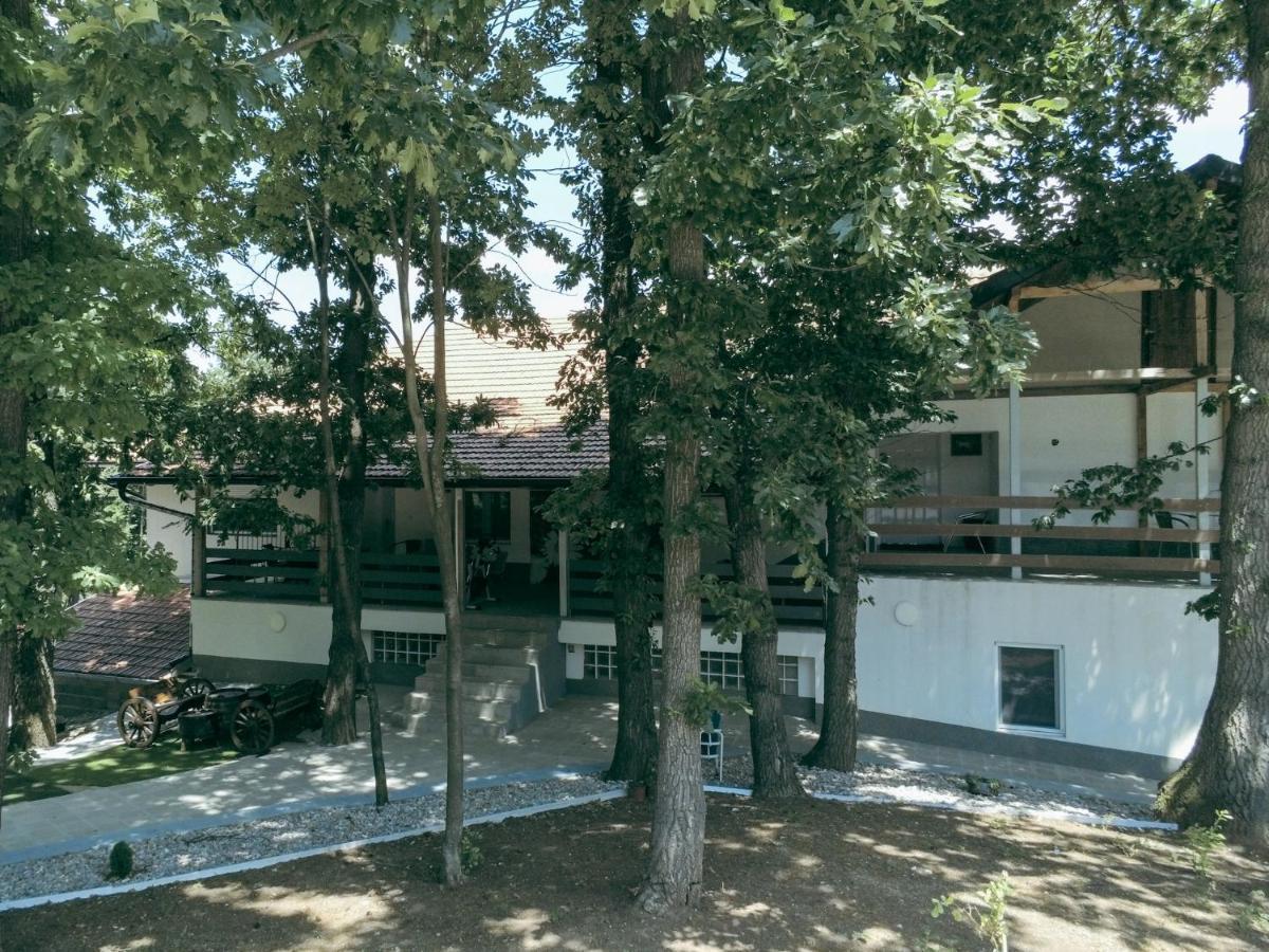 Konak Ljubica Rtanj Boljevac 外观 照片